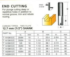 Carbitool T1419 M E/C Router Bit