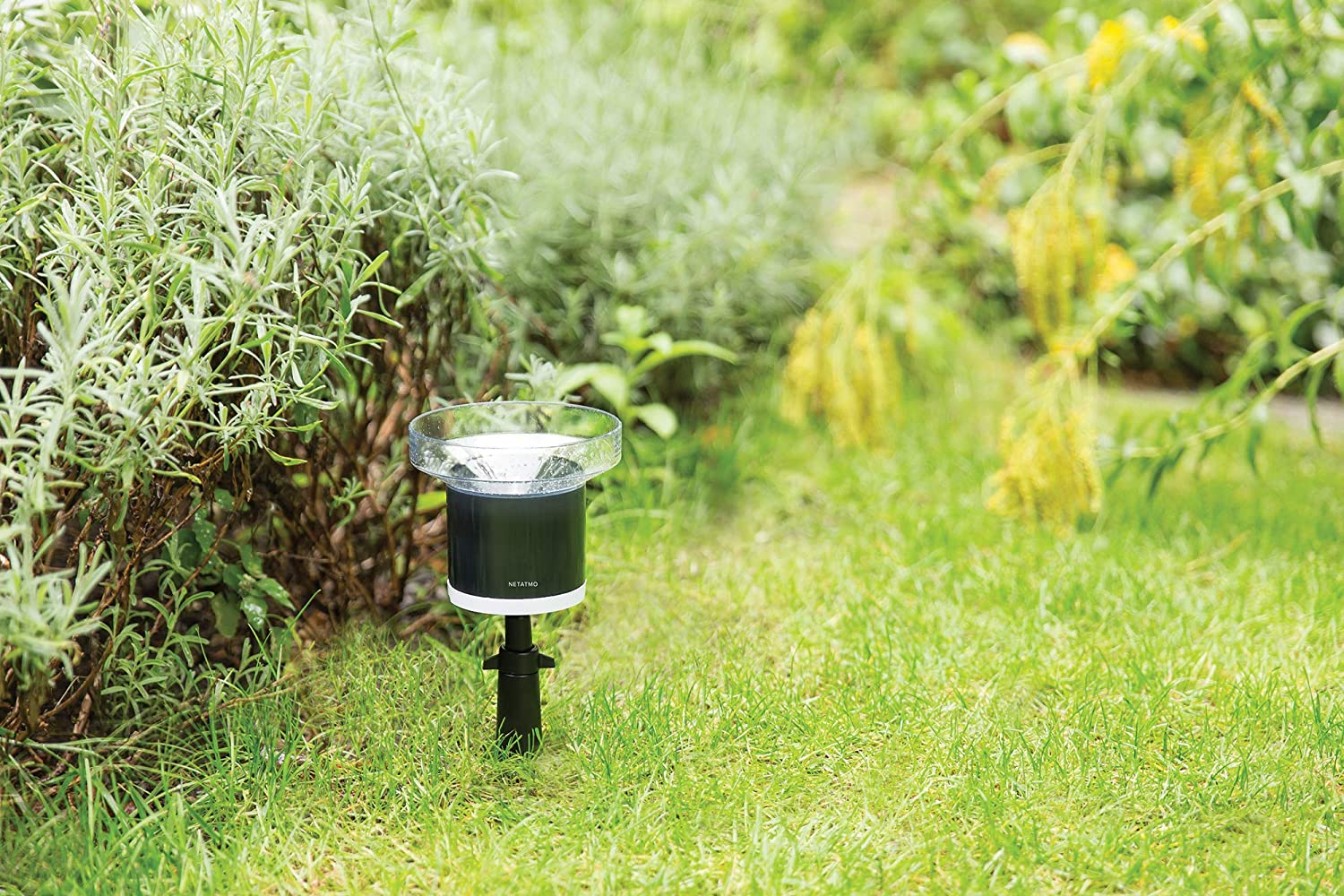Netatmo Smart Rain Gauge NRG01-WW - Image 5